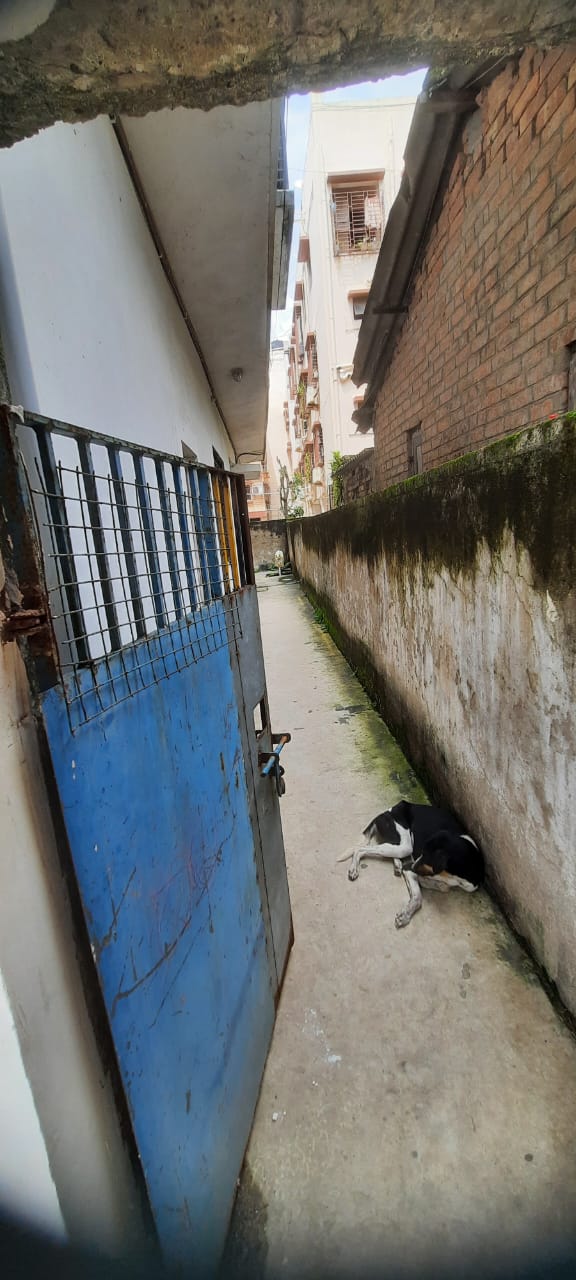 2 BHK Flat for Sale in MUKUNDAPUR DASPARA GREENLAND NEAR RN TAGORE HOSPITAL, Kolkata — photo 6