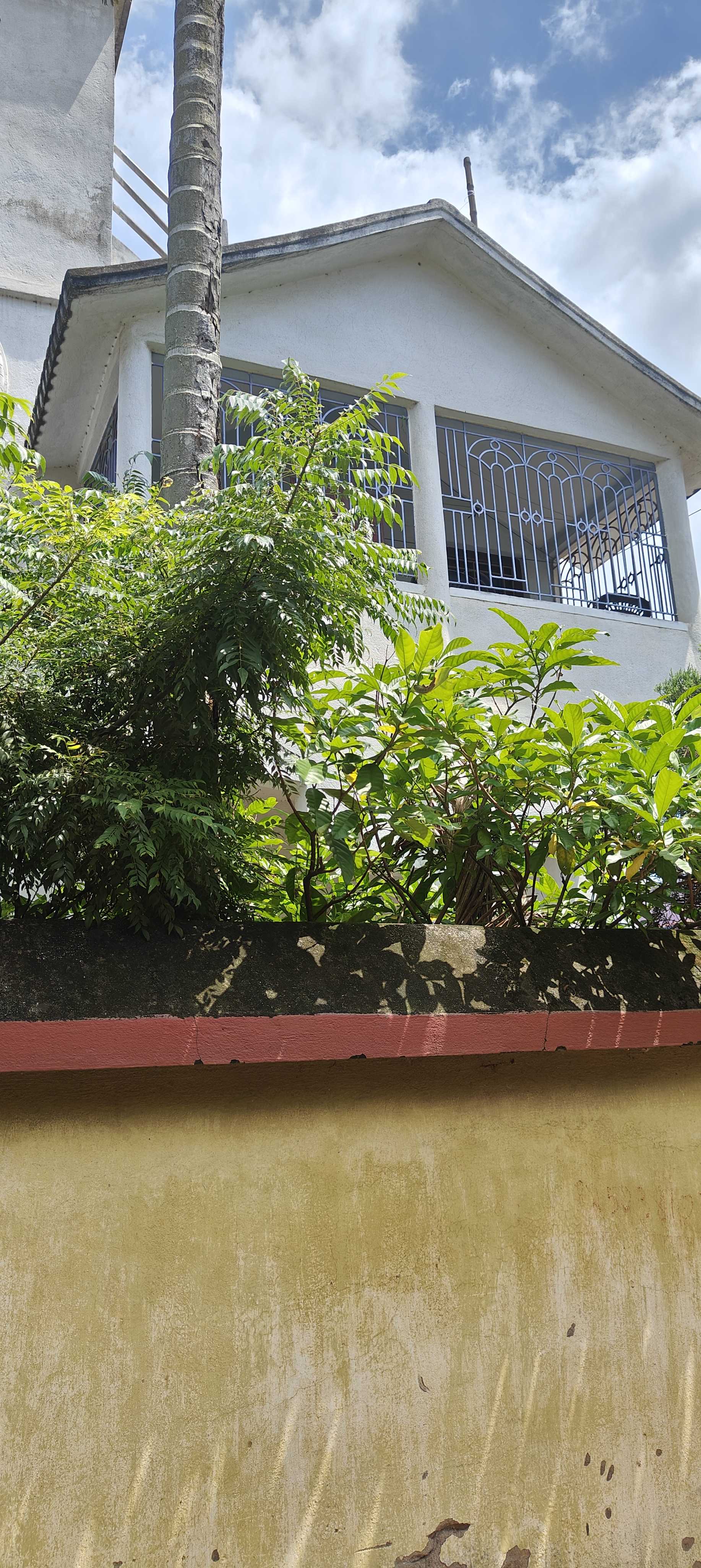 Individual House for Sale in Pandaveswar, Bilpahari — photo 2