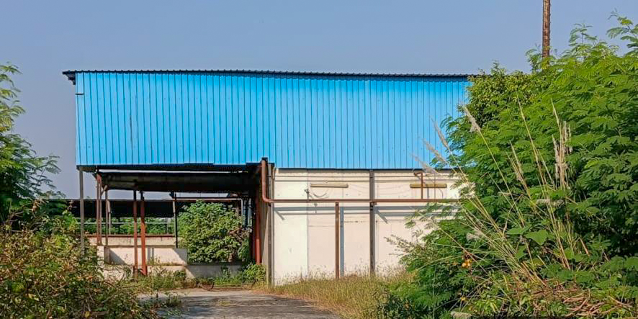 Industrial Shed for Sale in Barwara Mazra — photo 6