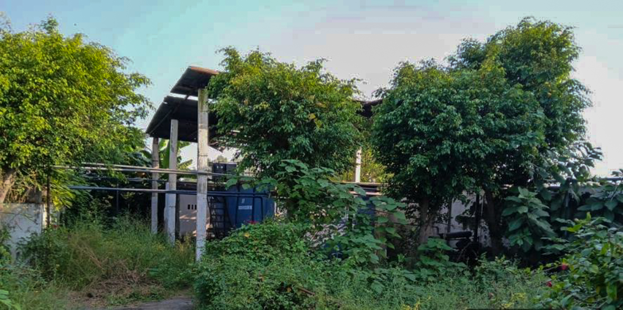 Industrial Shed for Sale in Barwara Mazra — photo 7