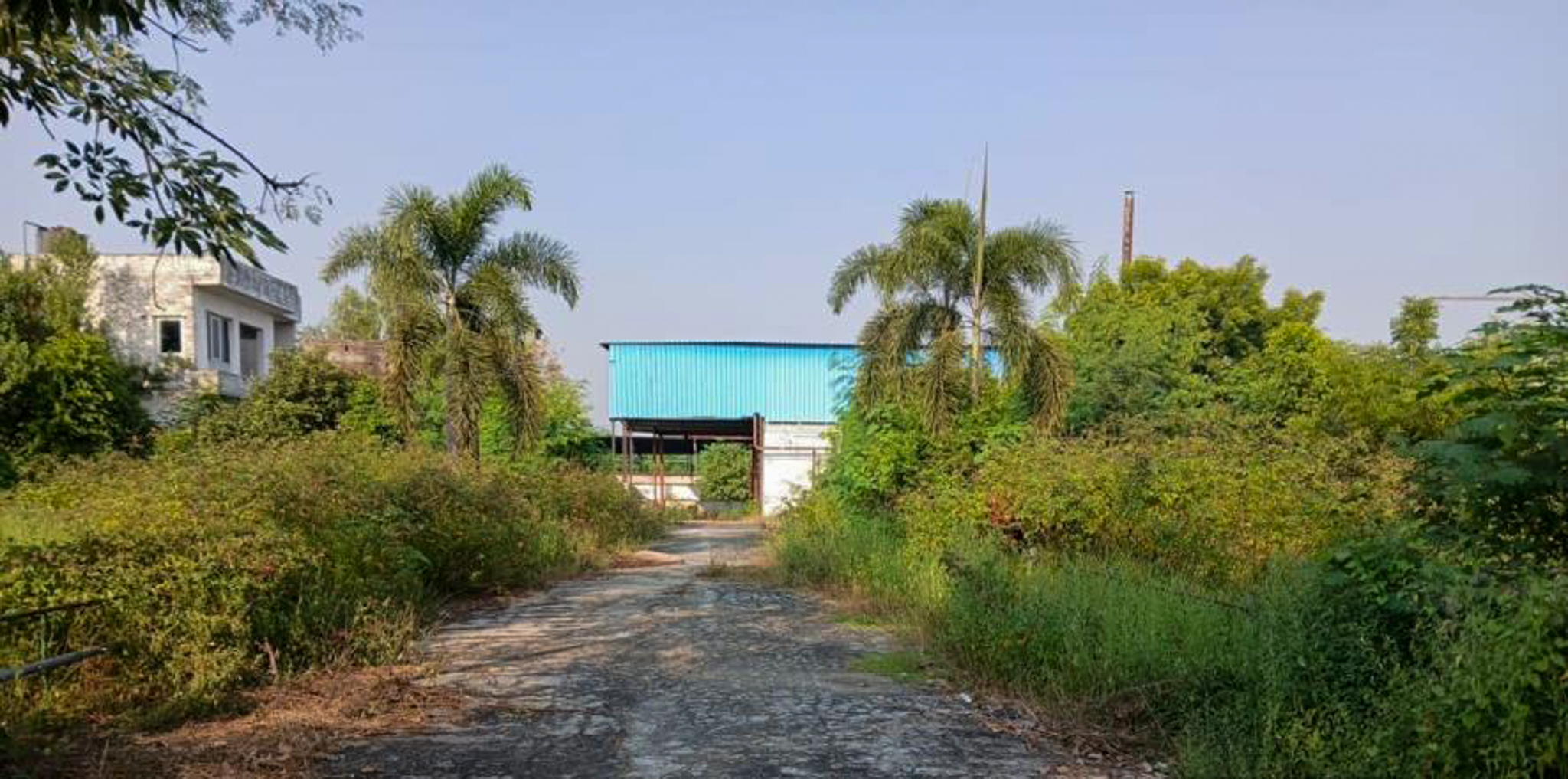 Industrial Shed for Sale in Barwara Mazra — photo 5