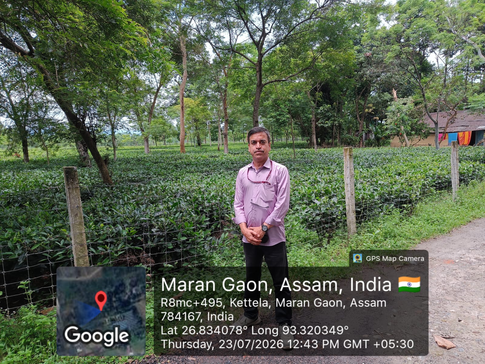 Tea Garden for Sale in Biswanath Chariali — photo 2