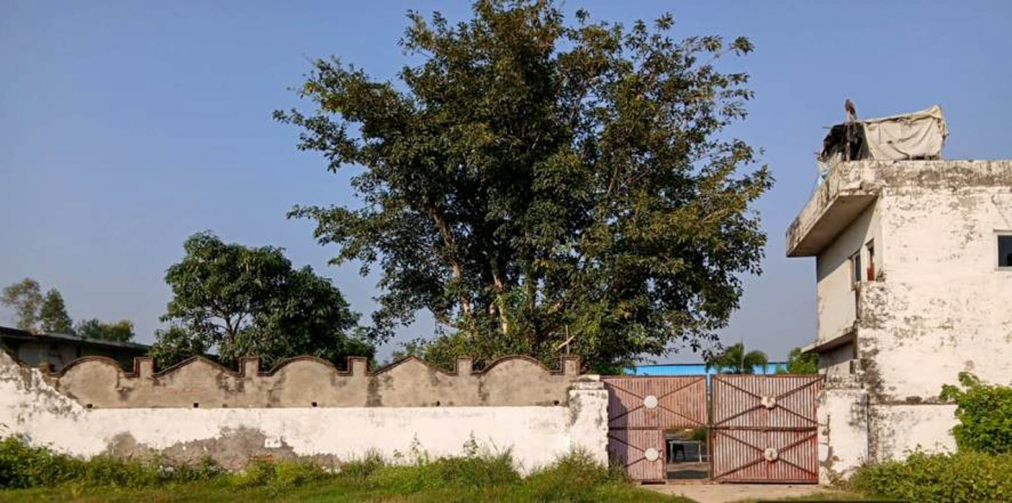 Industrial Shed for Sale in Barwara Mazra — photo 1