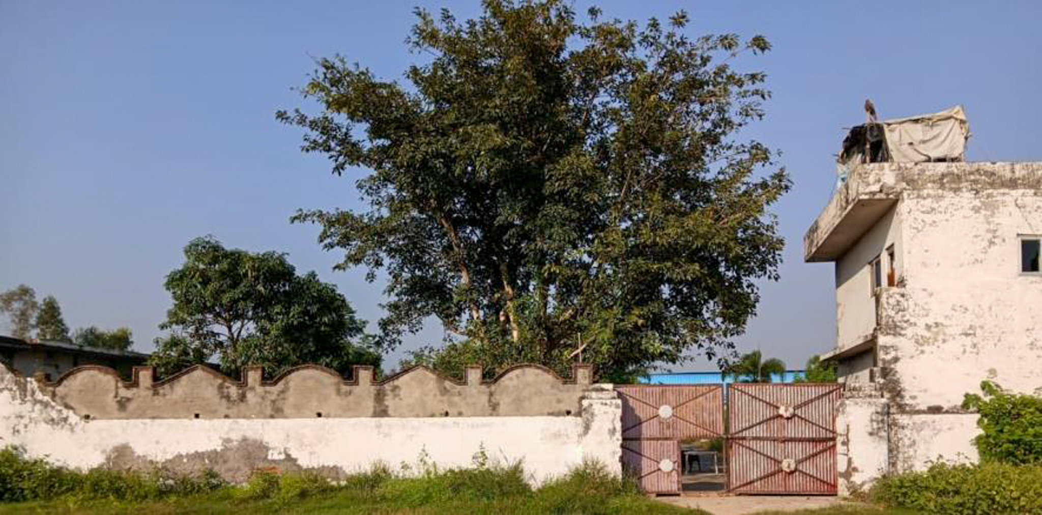 Industrial Shed for Sale in Barwara Mazra — photo 2
