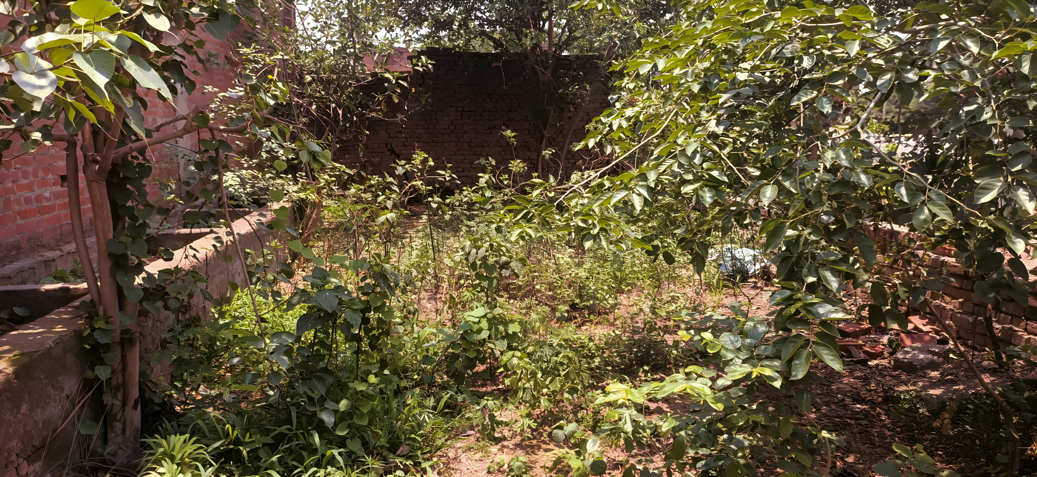 Industrial Shed for Sale in Shahjahanpur — photo 8