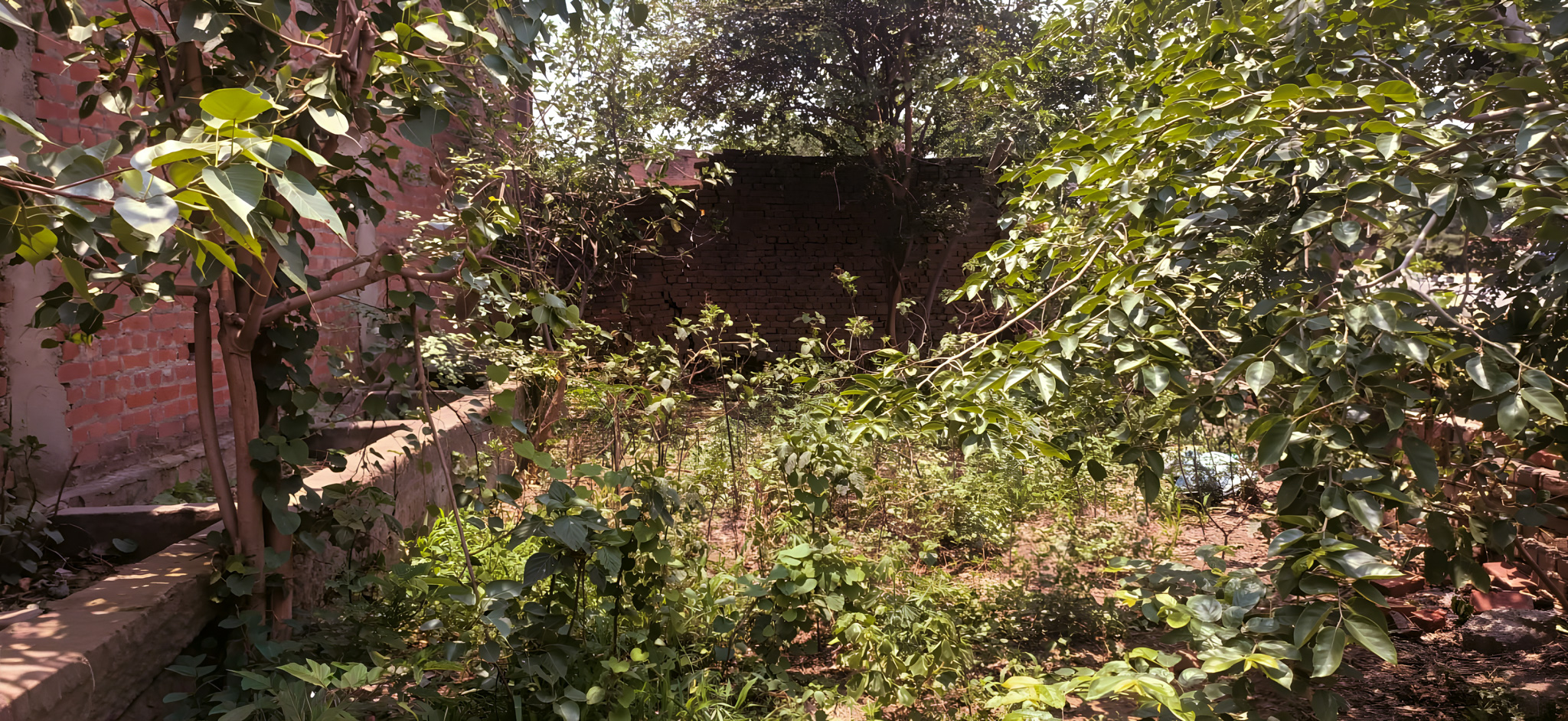 Industrial Shed for Sale in Shahjahanpur — photo 13