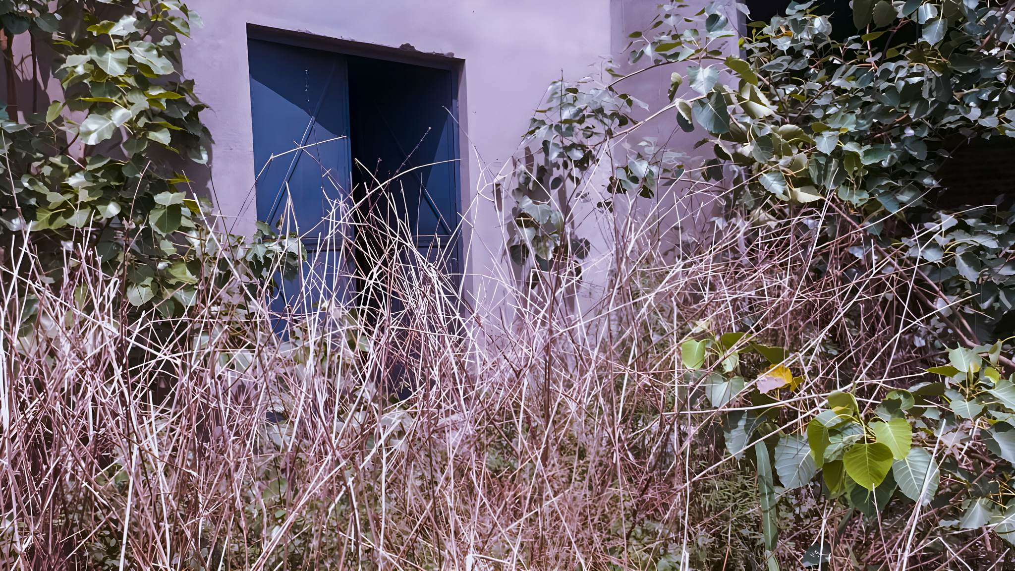 Industrial Shed for Sale in GC Shahjahanpur Industrial Area — photo 14