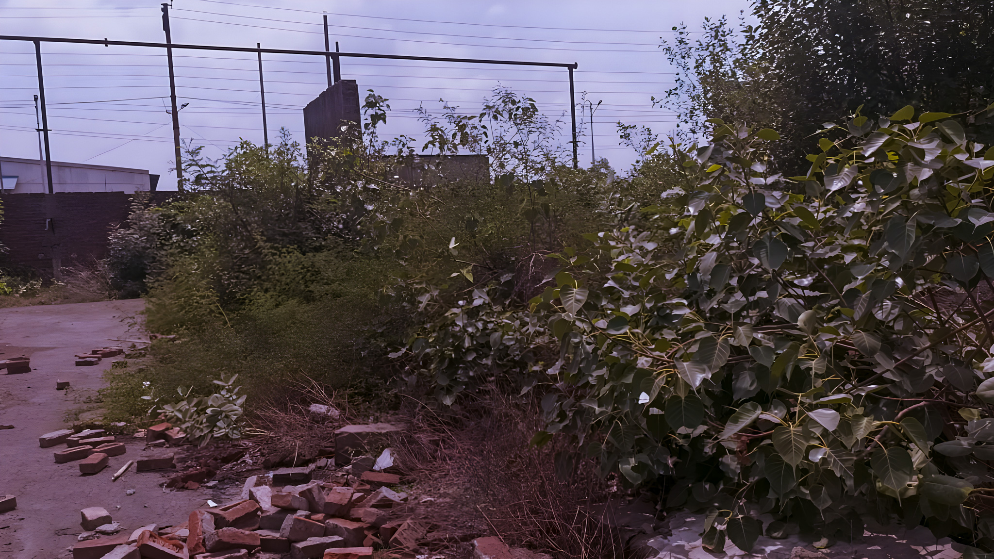 Industrial Shed for Sale in GC Shahjahanpur Industrial Area — photo 16