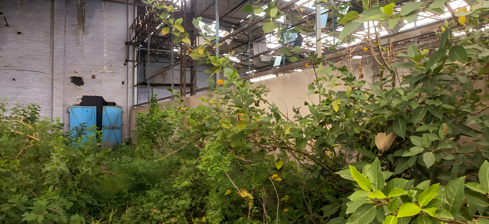 Industrial Shed for Sale in GC Shahjahanpur Industrial Area — photo 4