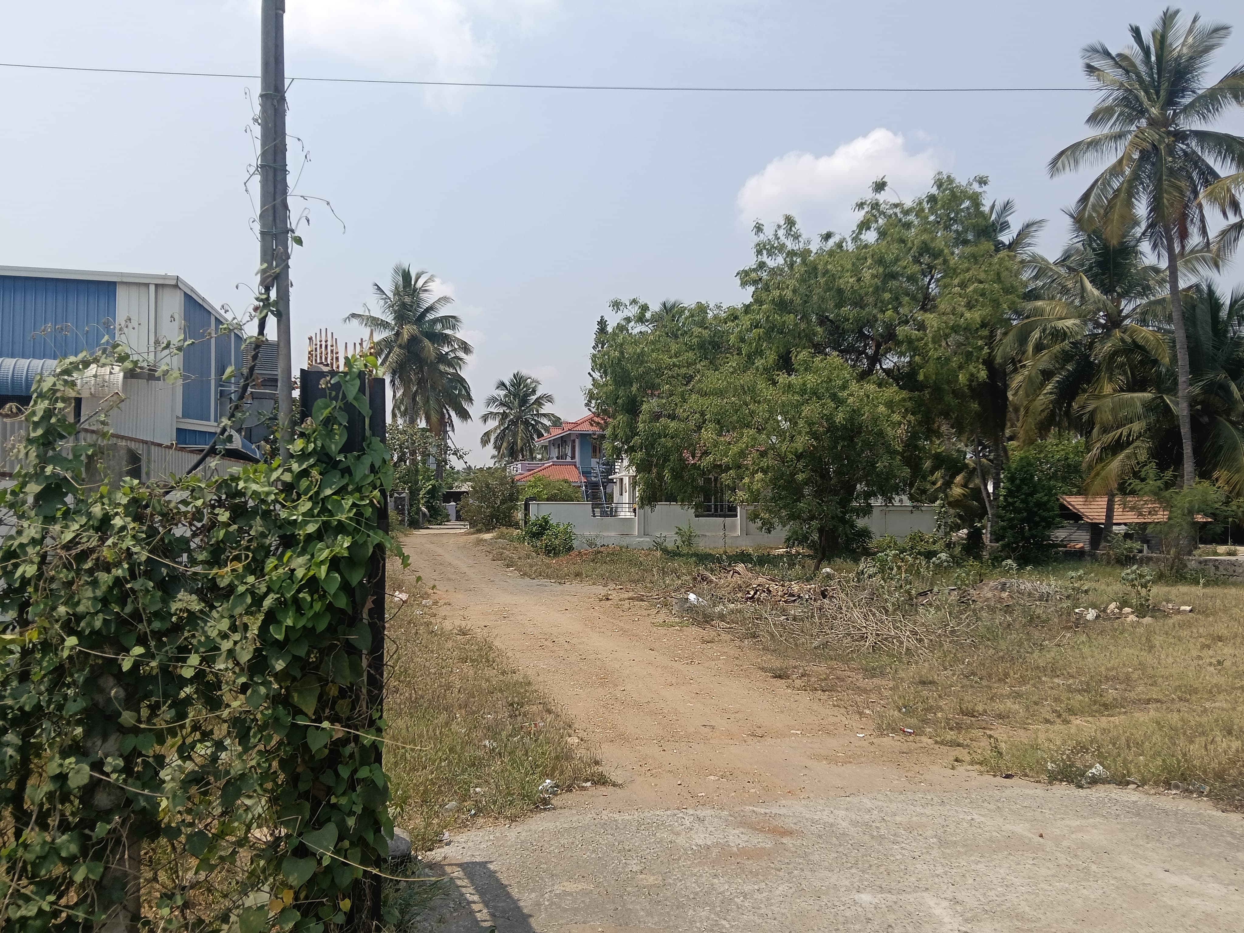 Individual House for Sale in Kangeyam — photo 13