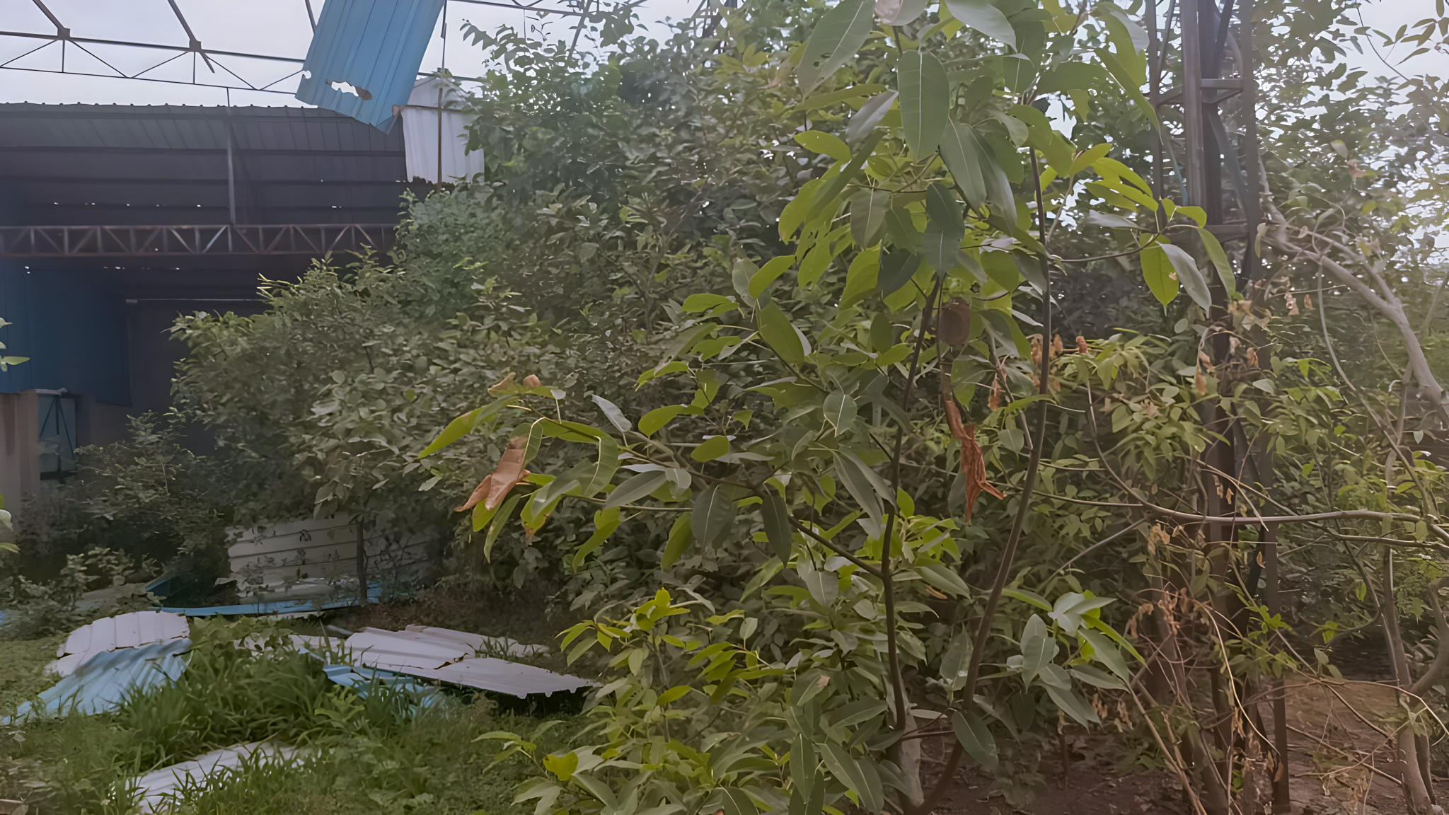 Industrial Shed for Sale in GC Shahjahanpur Industrial Area — photo 25