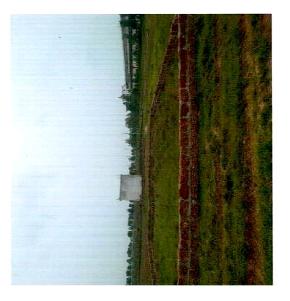 Plot for Sale in Khordha, Bhubaneswar — photo 1
