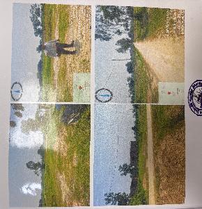 Plot for Sale in Basuki Bihari, Madhubani — photo 1