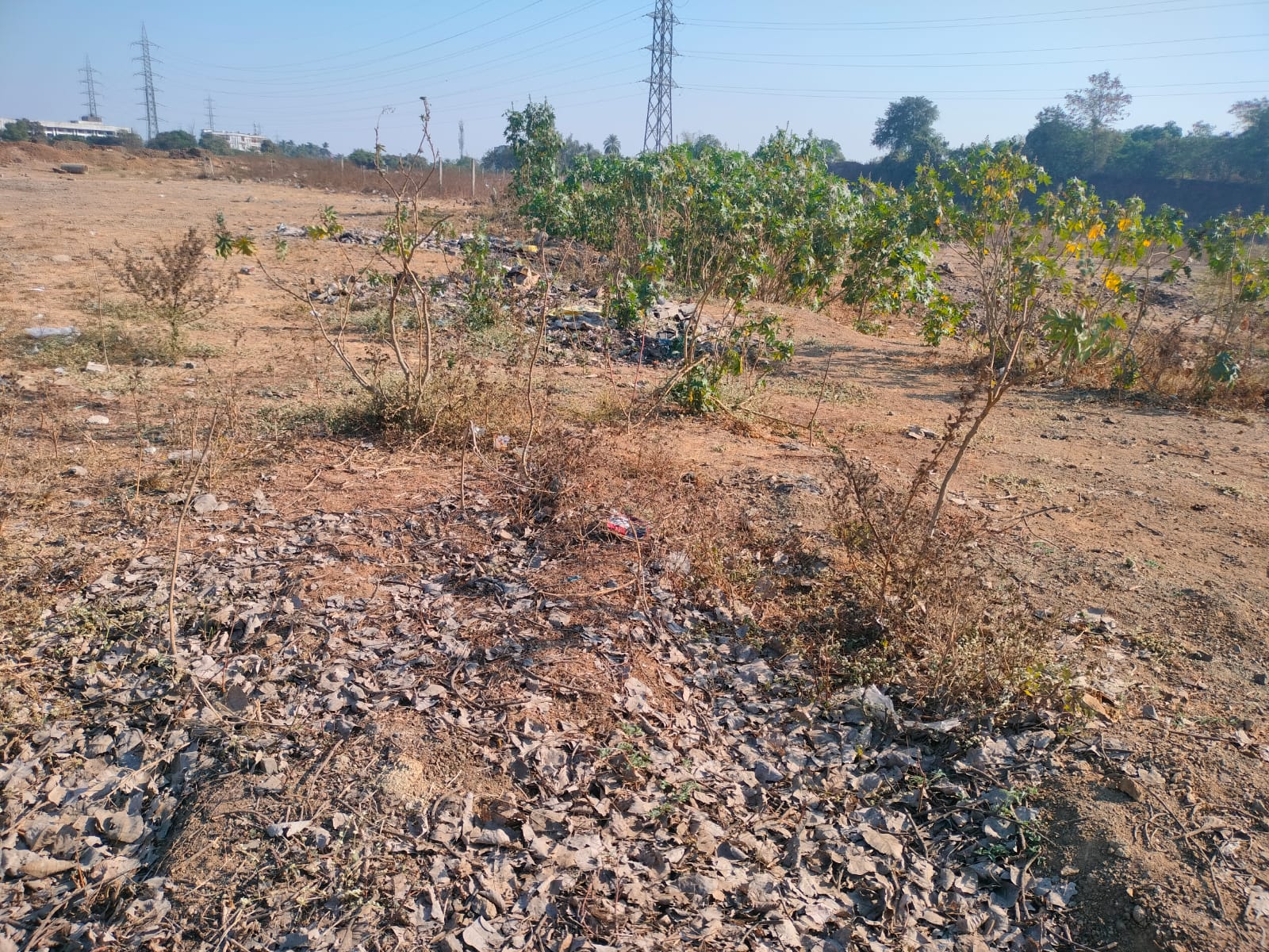 Plot for Sale in Vapi, Balitha — photo 2
