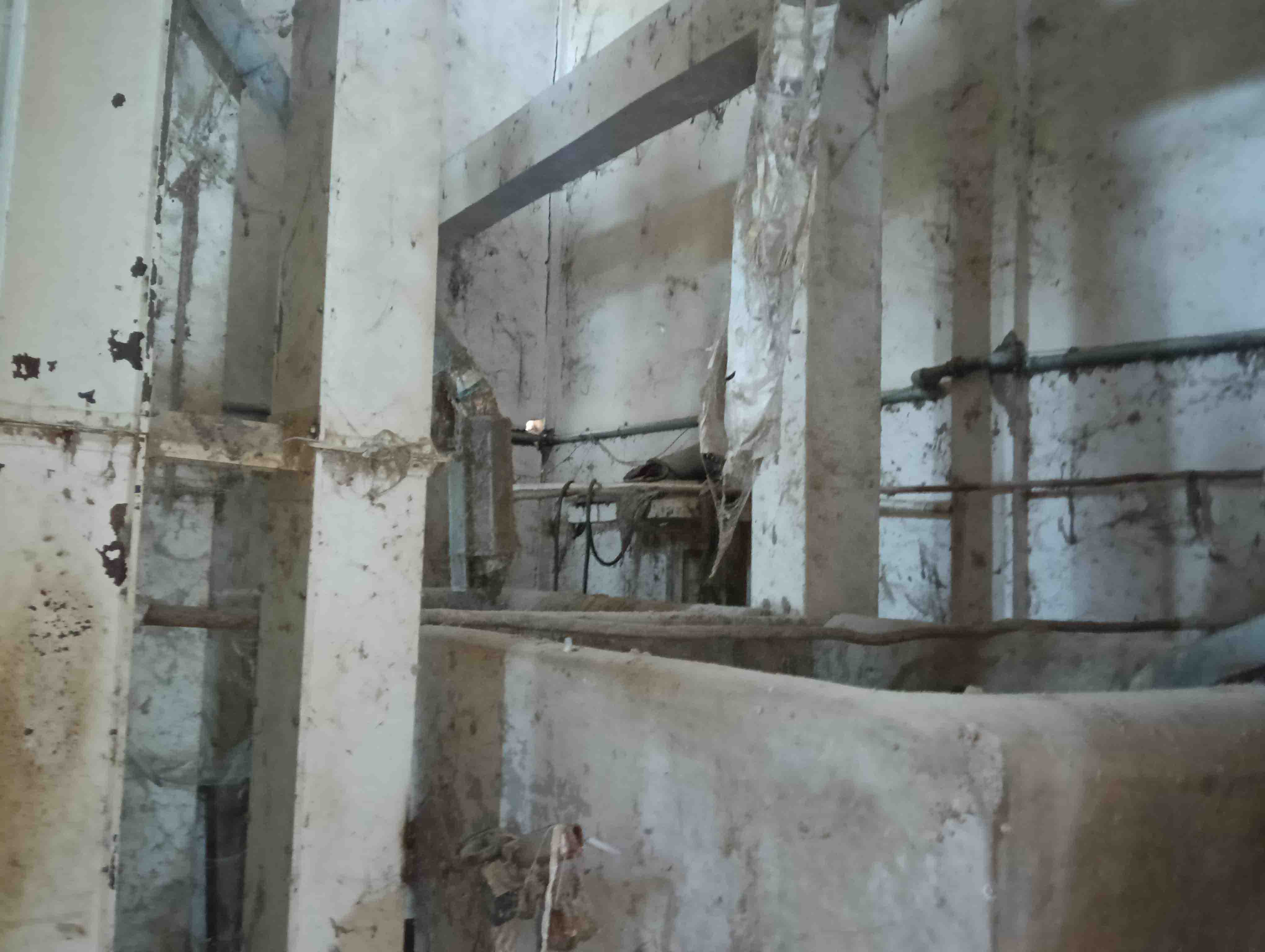 Rice Mill Plant With Machinary for Sale in Moje - Vanzana, Tal - Chikhli, Chikhli — photo 25