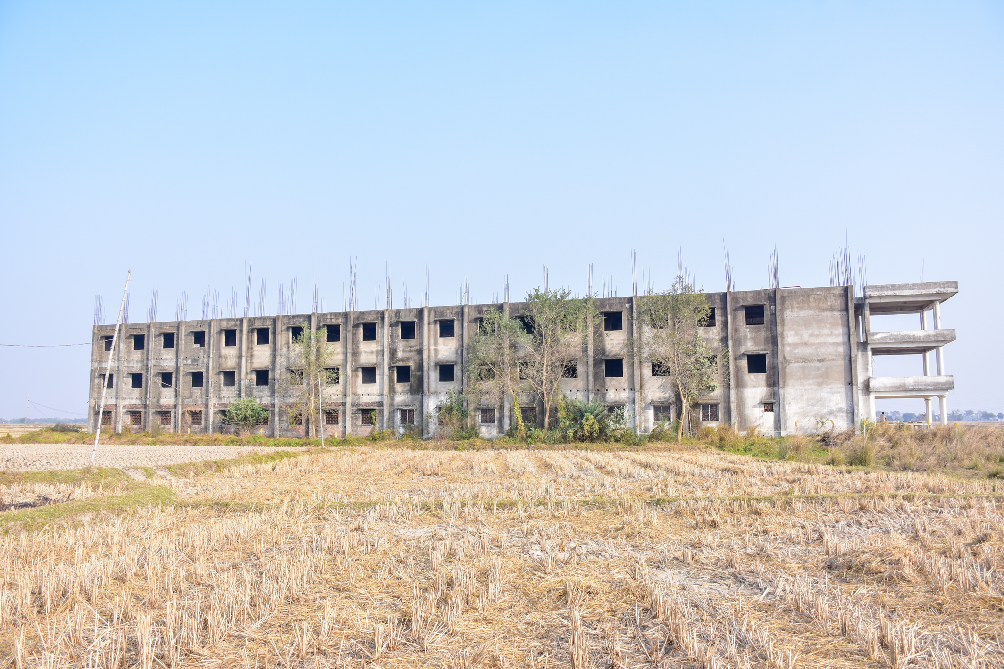 Office for Sale in Gangi — photo 5