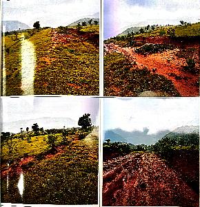 Plot for Sale in Tal.Patan, Distt.Satara, Patan — photo 1