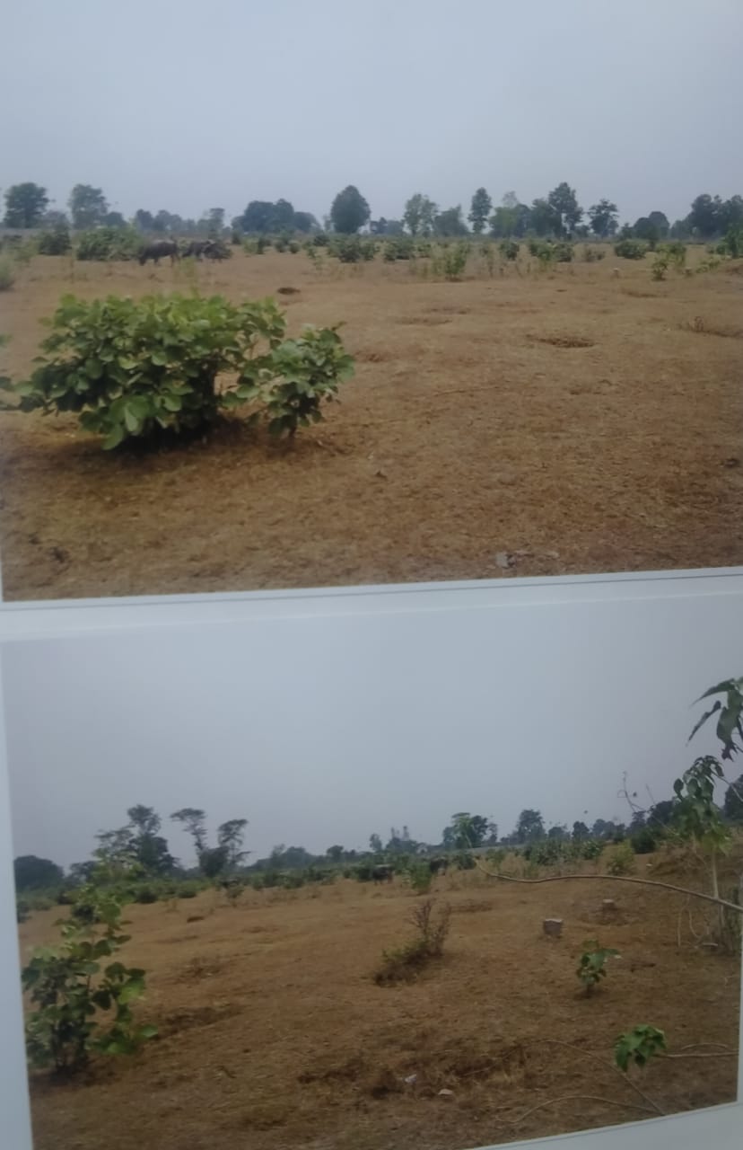 Plot for Sale in Gondia — photo 1