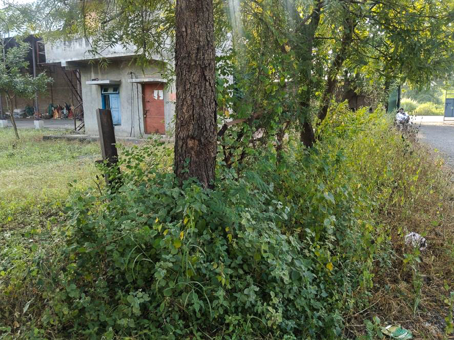 Shed with Plant and Machinery for Sale in Akola — photo 17