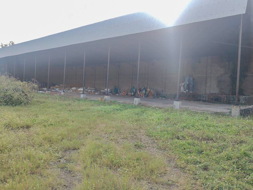 Shed with Plant and Machinery for Sale in Akola — photo 22