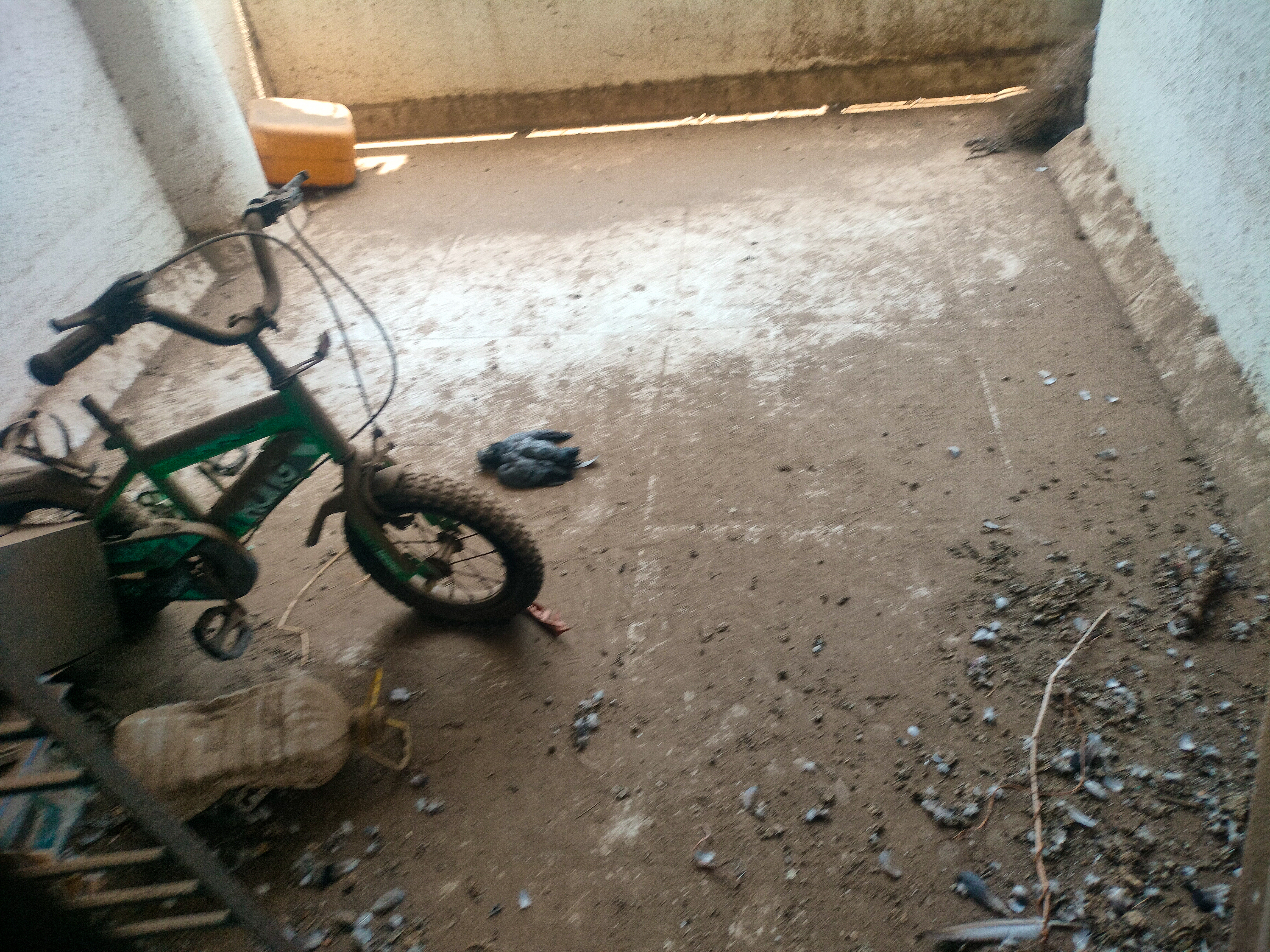 Flat for Sale in PEN, Dadar — photo 25