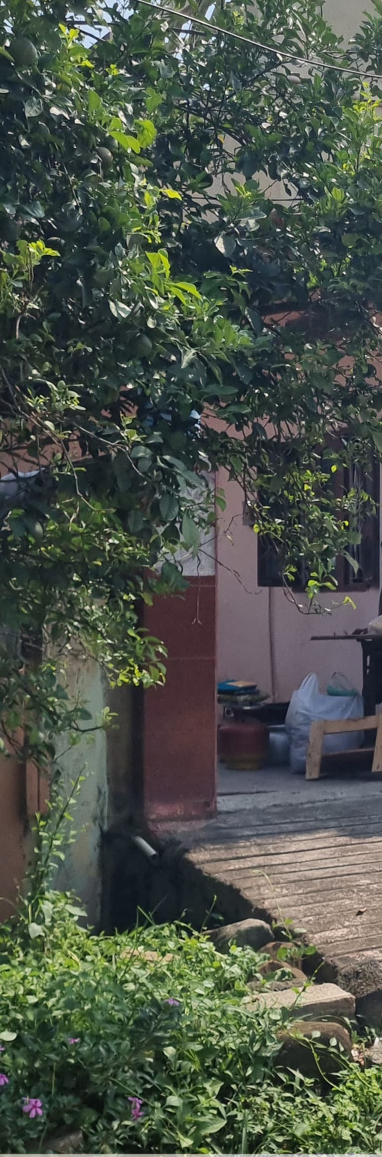 Individual House for Sale in Kodad Gramapanchayat and Revenue limits, Kodad Mandal, Nalgonda Dist., Kodad — photo 2