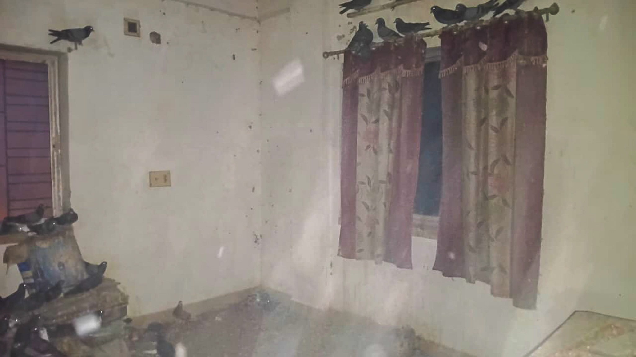 Flat for Sale in Kolkata — photo 11