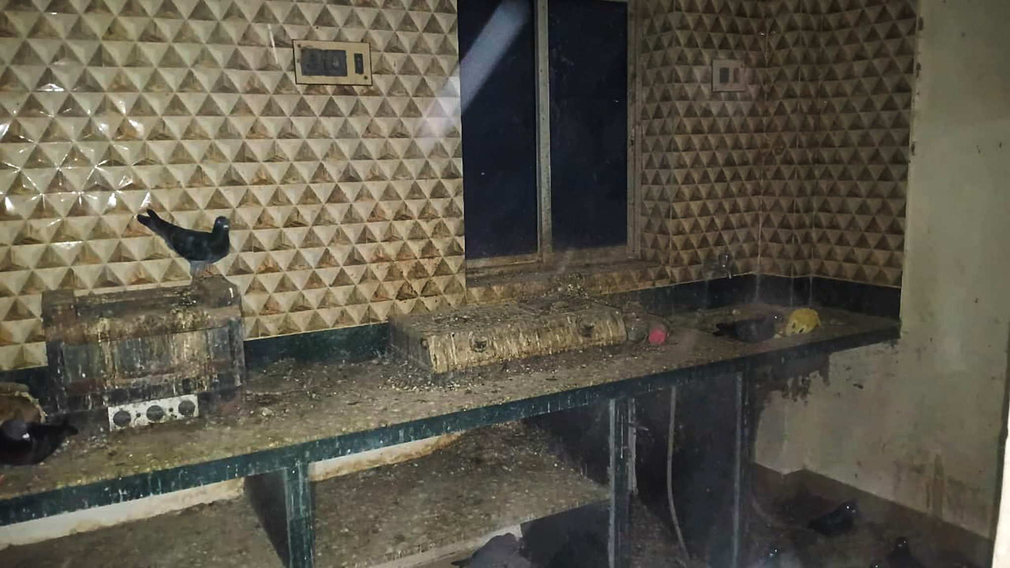 Flat for Sale in Kolkata — photo 10