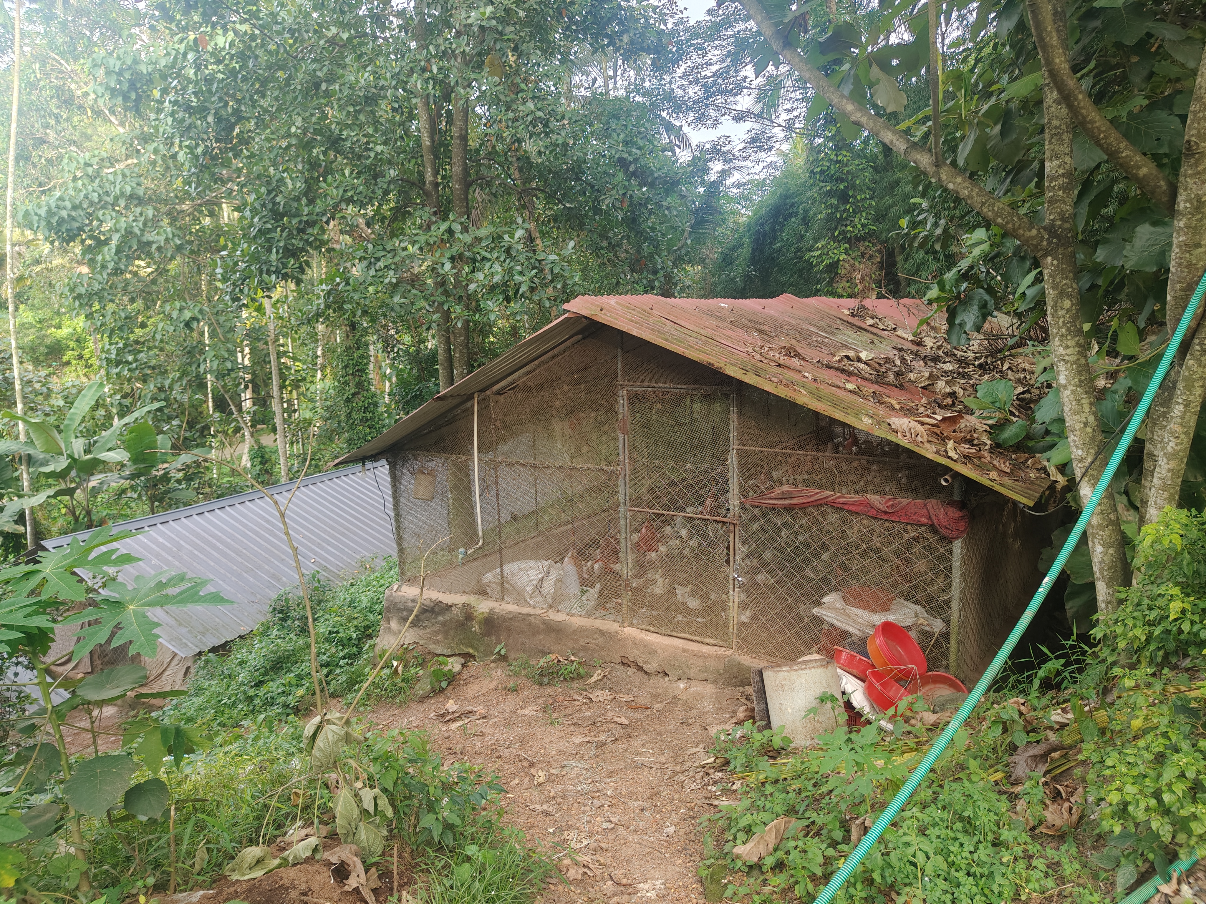 Individual House for Sale in Karakulam — photo 2