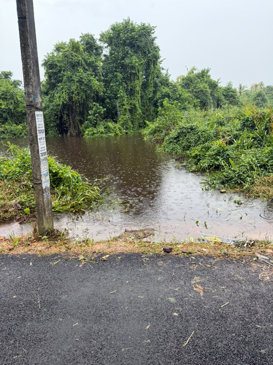 Plot for Sale in Pallippuram Alappuzha — photo 2