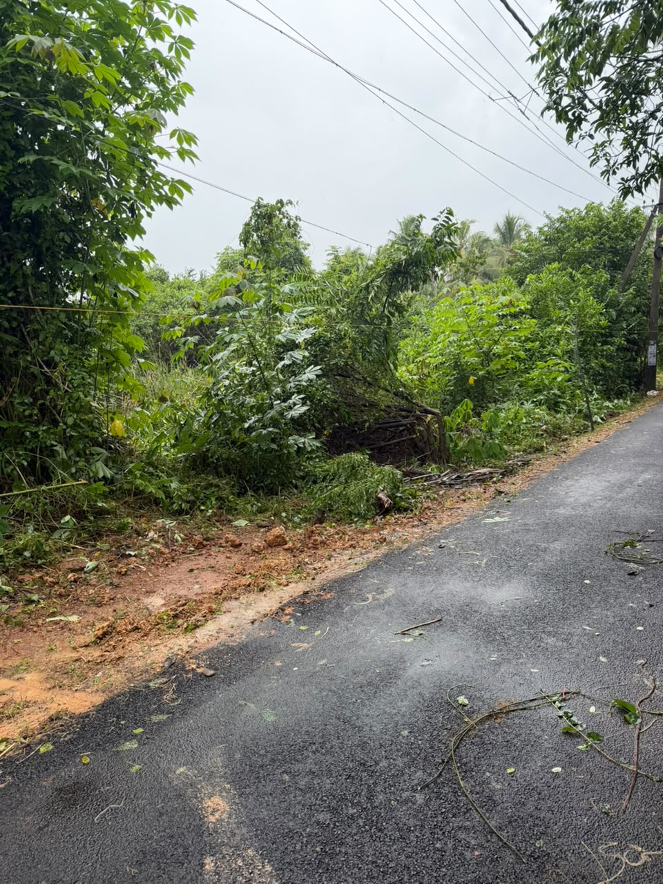 Plot for Sale in Pallippuram Alappuzha — photo 3