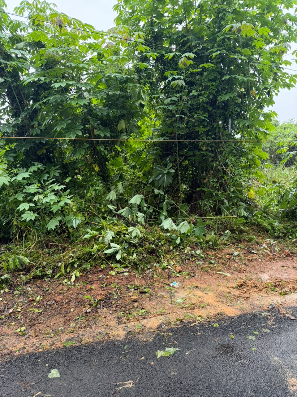 Plot for Sale in Pallippuram Alappuzha — photo 4