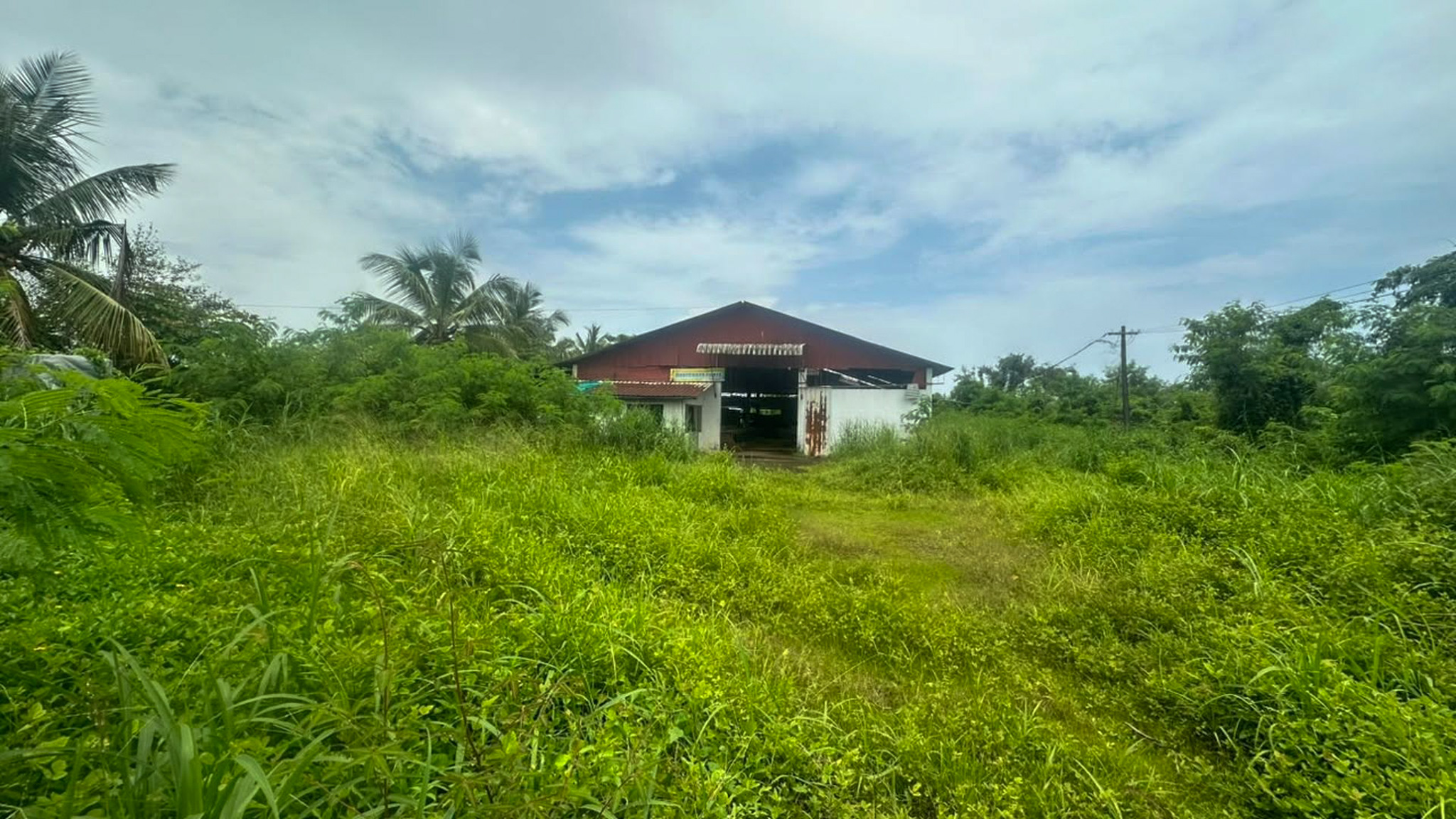 Godowns for Sale in Pappinisseri village, Azhikode — photo 4