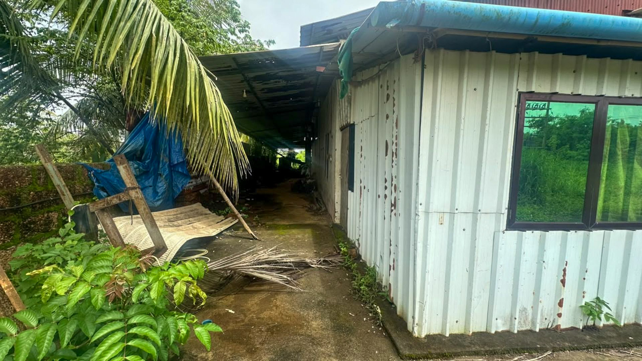 Godowns for Sale in Pappinisseri village, Azhikode — photo 9