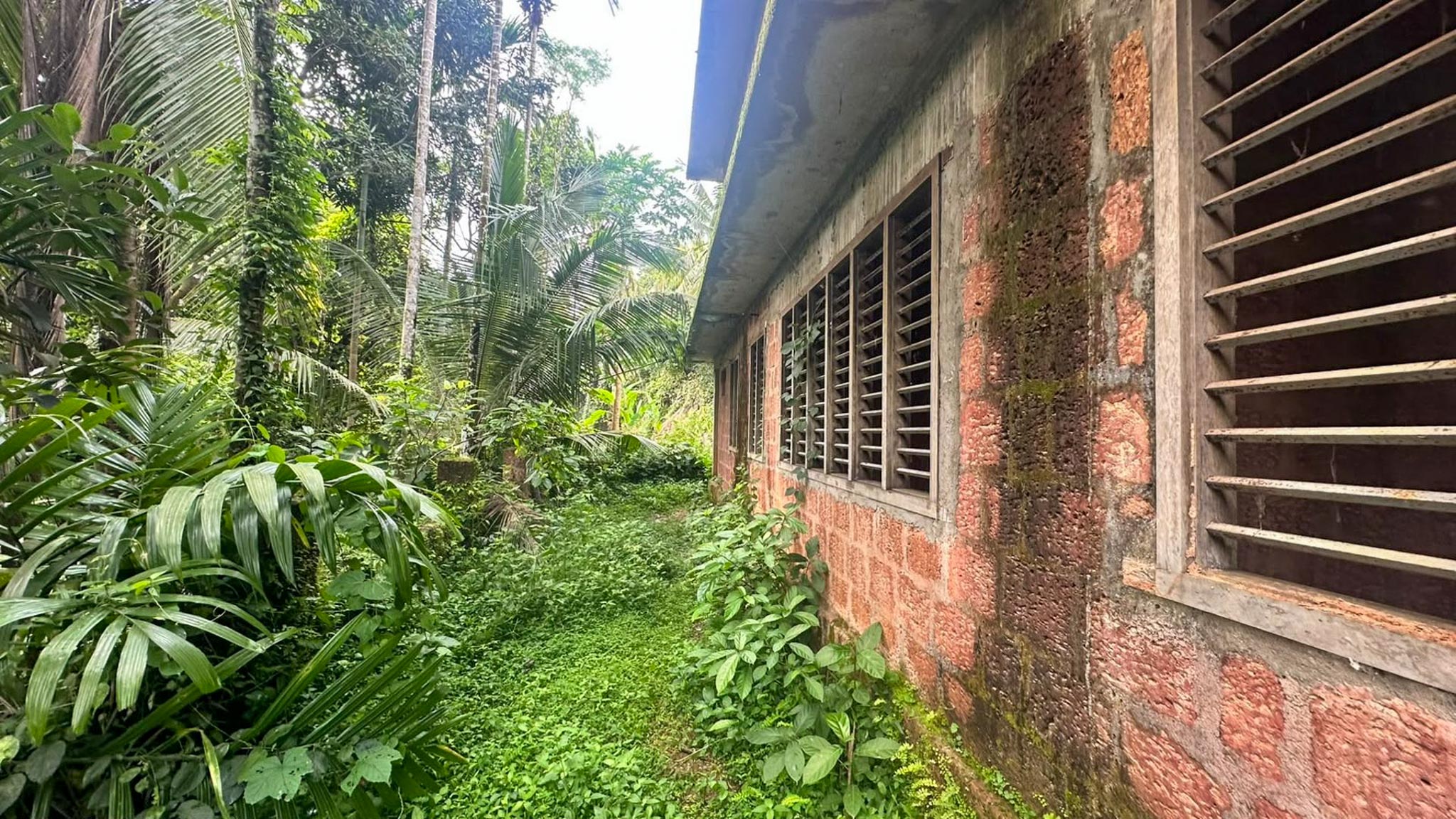 Individual House for Sale in Surendran, Chokli Village, Chockli — photo 4