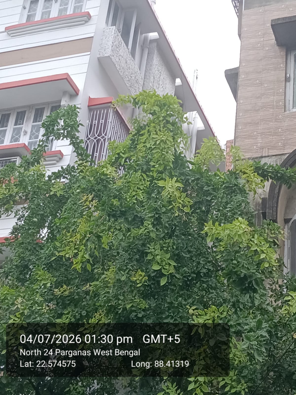 3 BHK Flat for Sale in Arunachal Co-operative Housing Society Ltd, Bidhan Nagar, Kolkata — photo 3