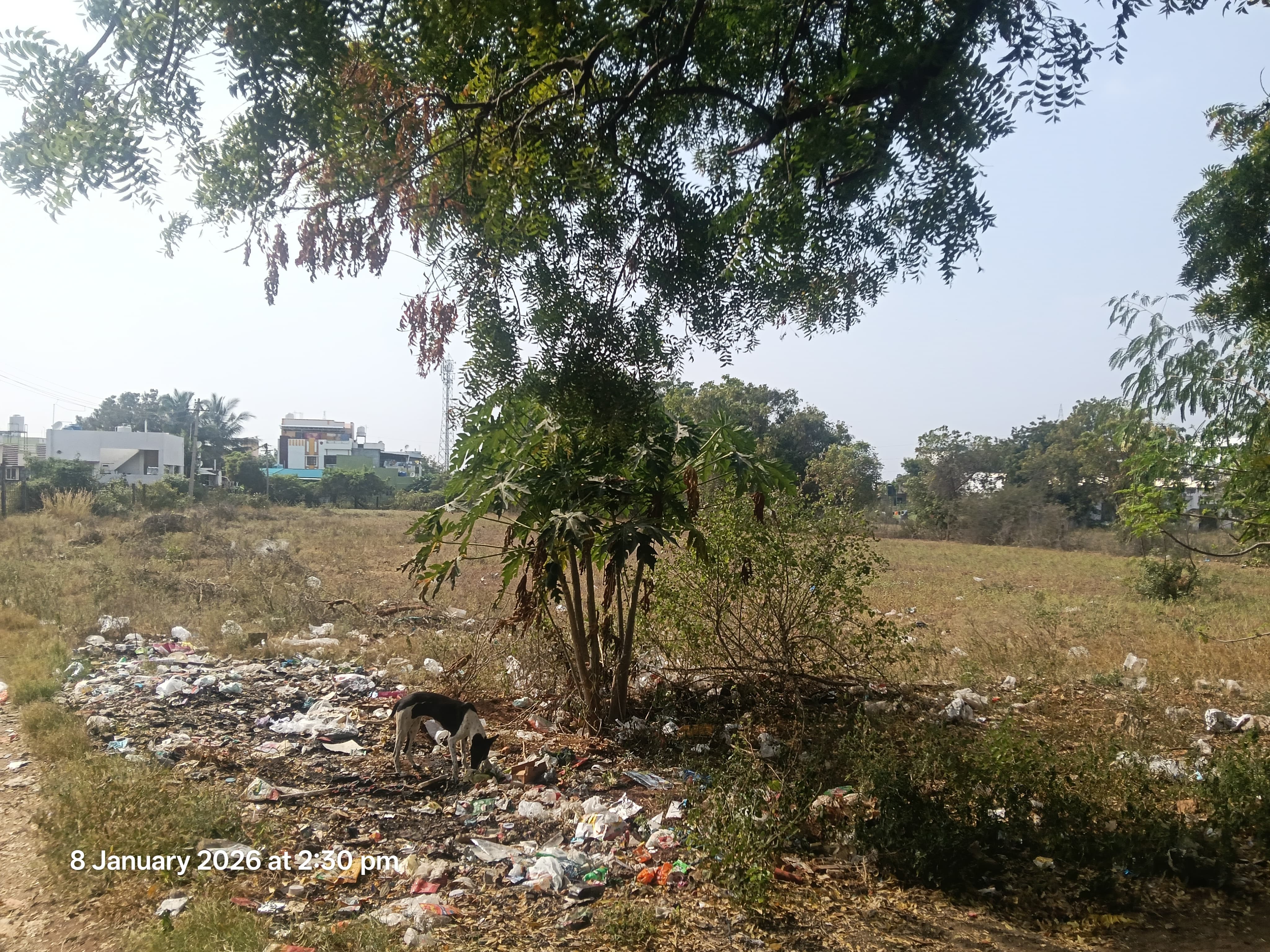 Individual House for Sale in Tiruppur — photo 14