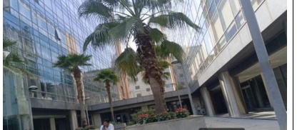 Shops for Sale in Gurugram, Bhondsi — photo 4