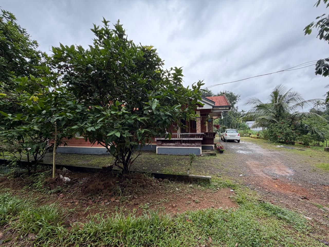 Individual House for Sale in Nedumkunnam Village, Changanacherry — photo 4