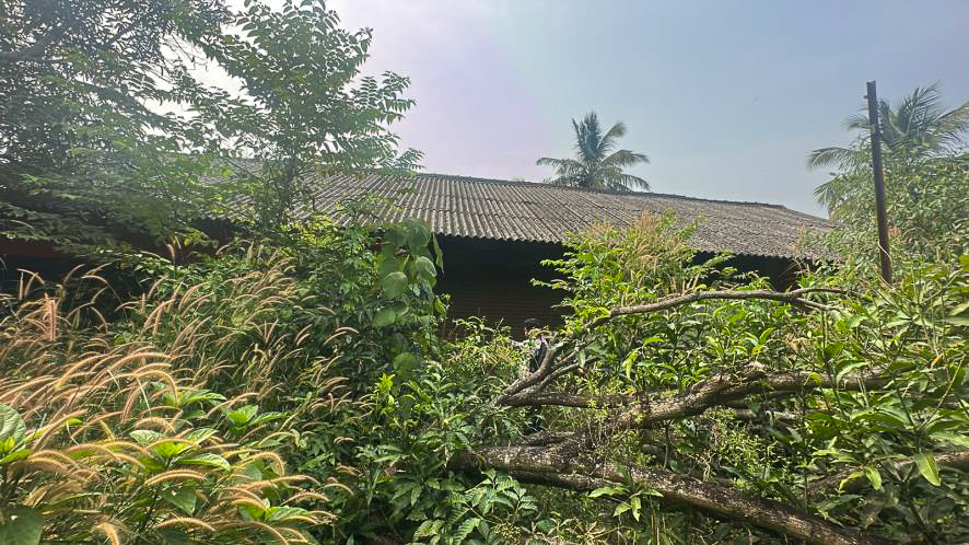 Industrial Plot with Factory Building for Sale in TALAPPARA, Abdurahiman Nagar — photo 3