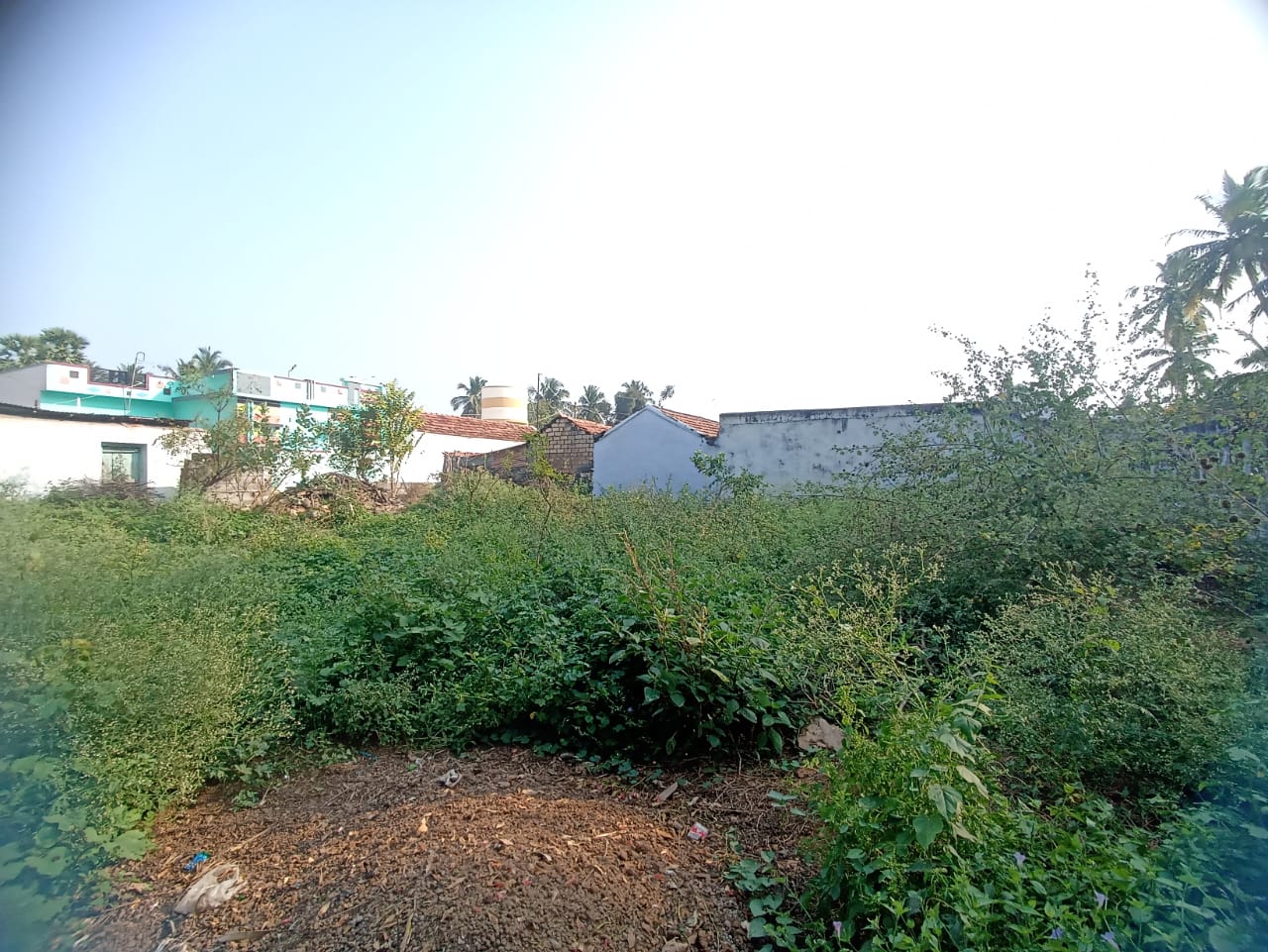 Plot for Sale in thadapalli village, Kasipalayam — photo 1