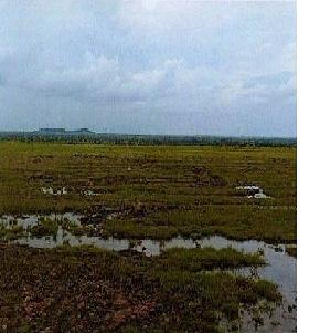 Non Agriculture Land for Sale in Naldurg — photo 1