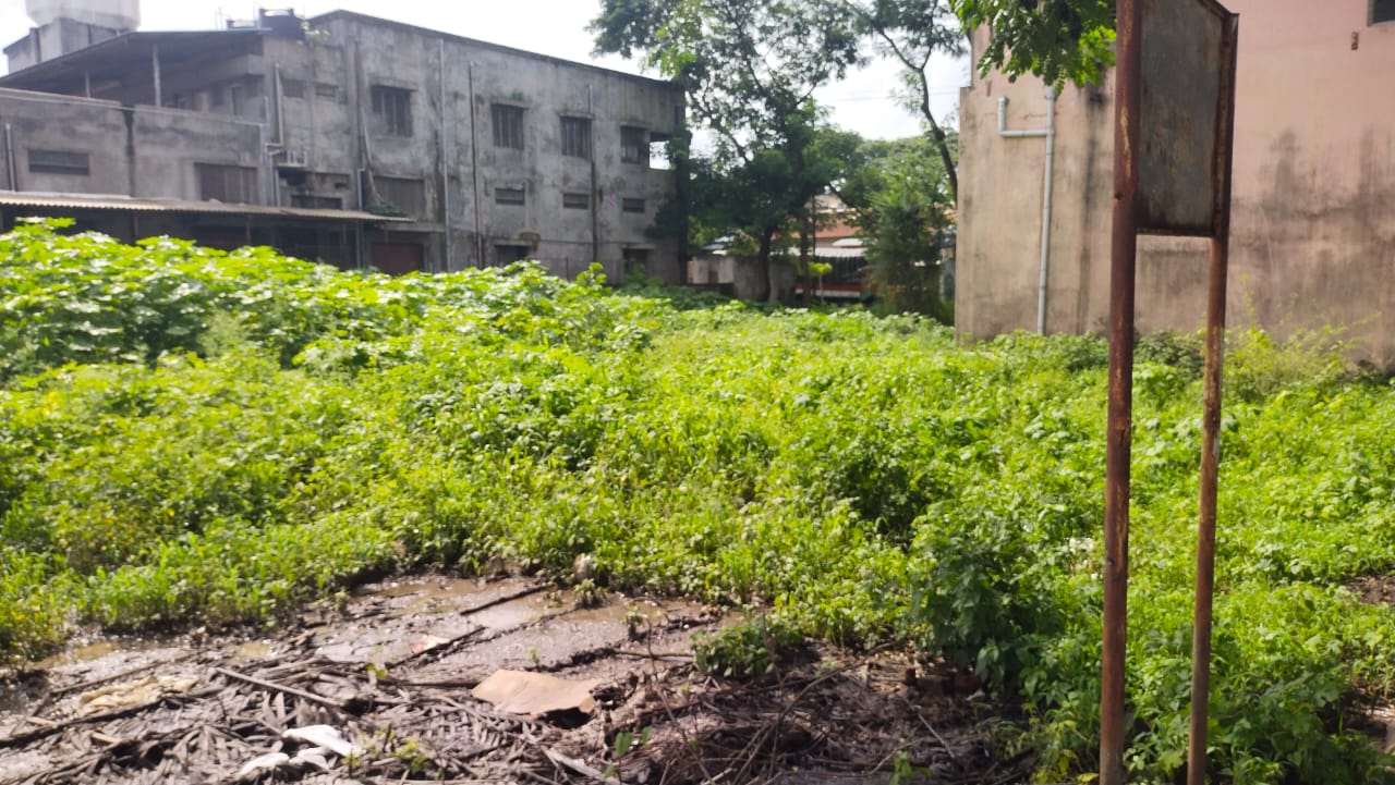 Plot for Sale in Kolhapur, Kolhapur — photo 2