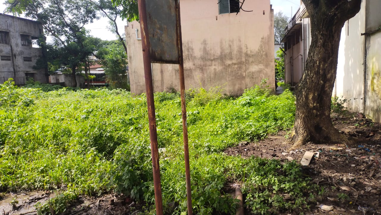 Plot for Sale in Kolhapur, Kolhapur — photo 3