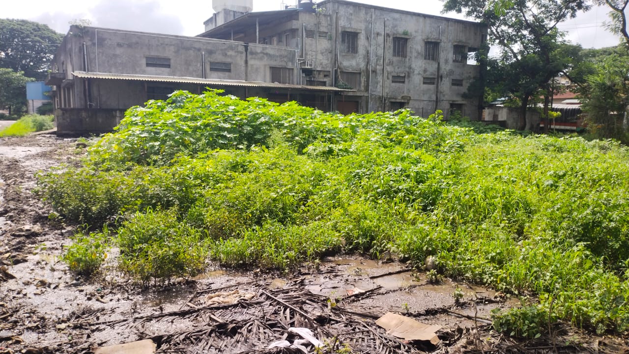 Plot for Sale in Kolhapur, Kolhapur — photo 5