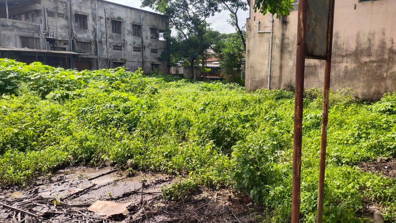 Plot for Sale in Kolhapur, Kolhapur — photo 6