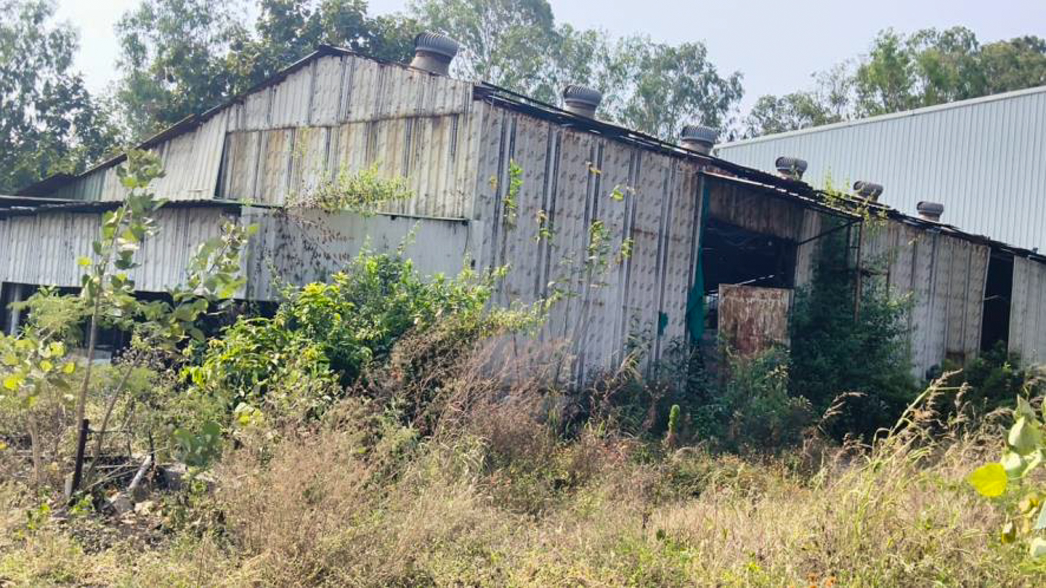Industrial Plot with Factory Building for Sale in Bhor — photo 22