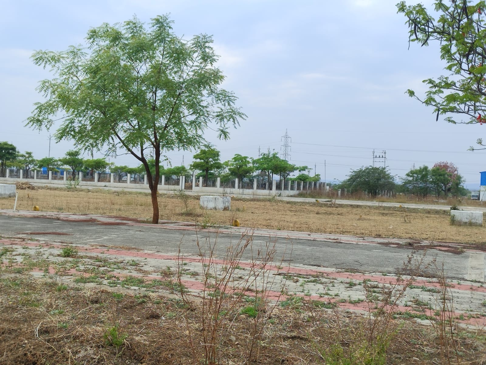 Plot for Sale in Borkhedi — photo 3