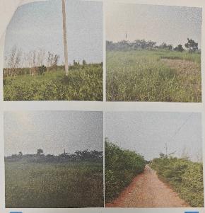 Plot for Sale in Kandukur — photo 1