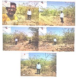 Plot for Sale in Kandukur — photo 1